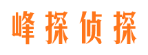 翠峦婚外情调查取证